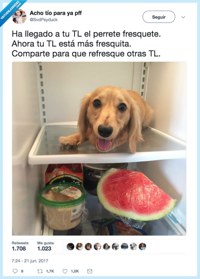 perrete,fresca,agusto