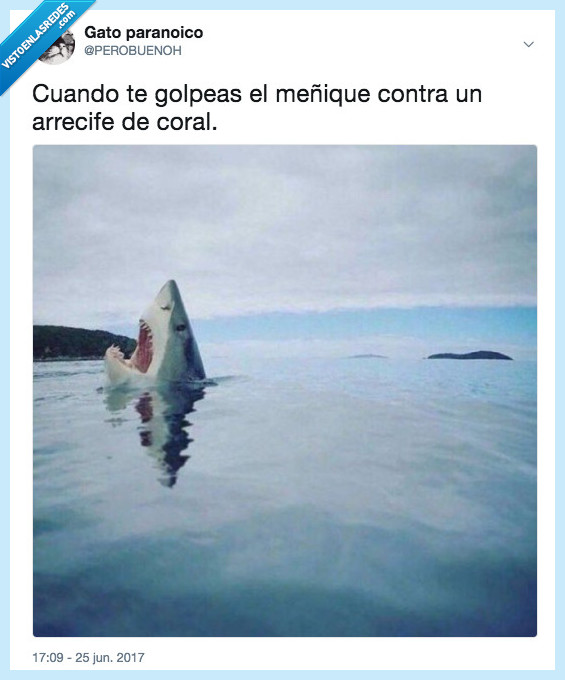 pie,meñique,dedo,golpear,dolor,arrecife,coral,tiburon