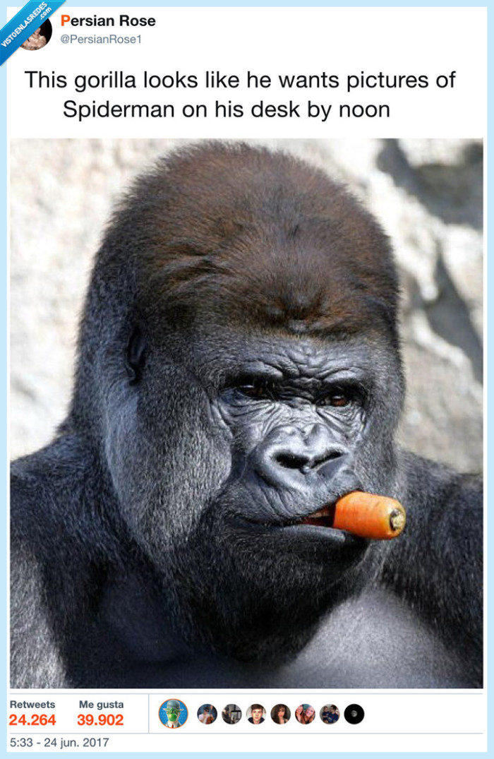 gorila,spiderman,parecer