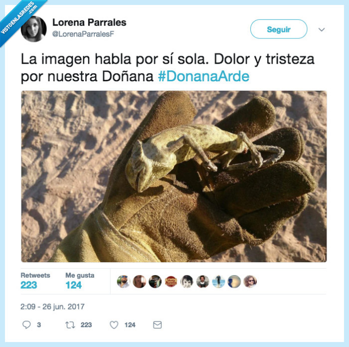 doñana,arder,dolor,tristeza