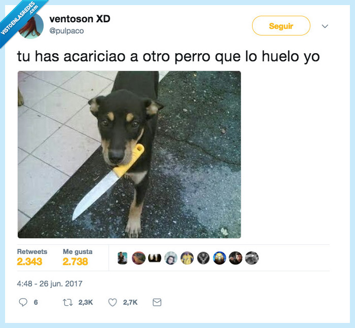 cuernos,poner,acariciar