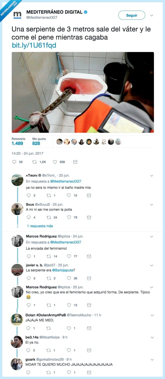 serpiente,noticia,merienda