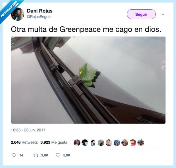 hoja,multa,greenpeace