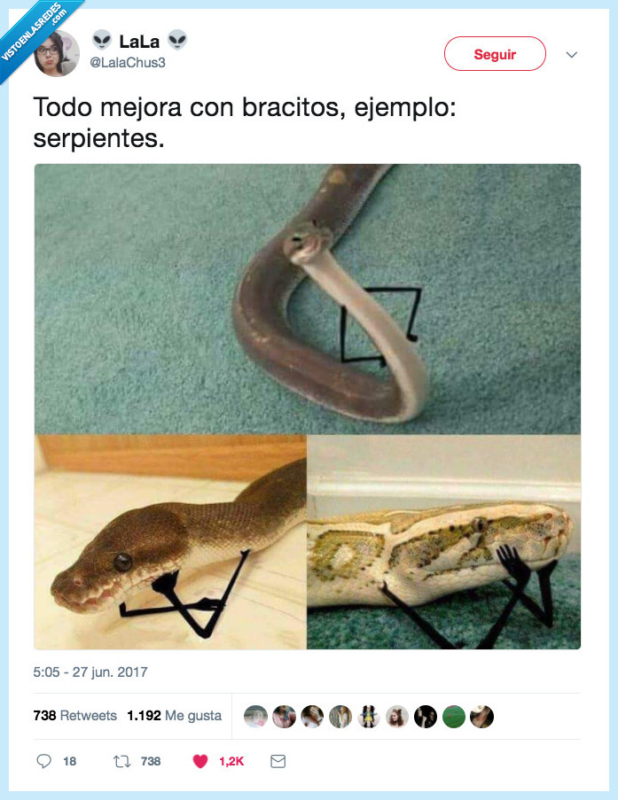 serpientes,bracitos,ejemplo