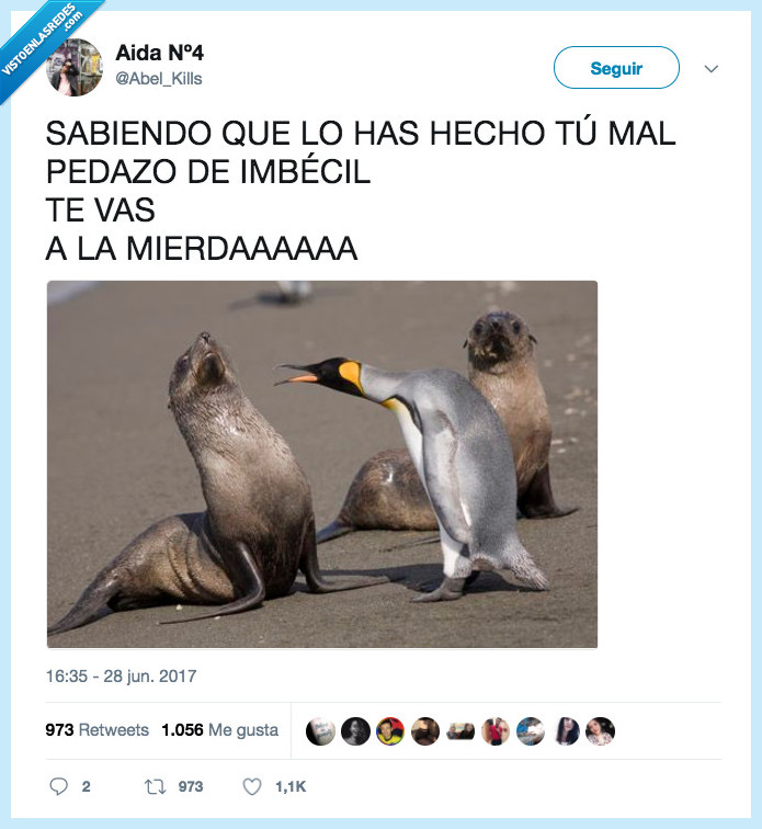 pingüino,foca