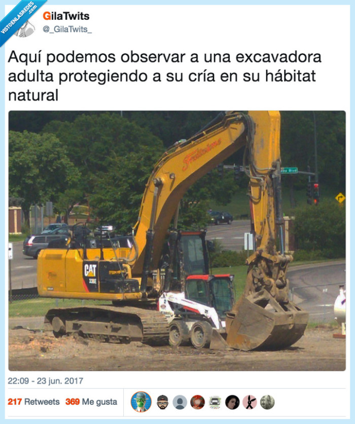 excavadora,habitat,proteger