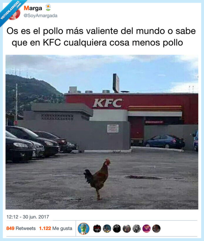 gallo,kfc,esperar,retar