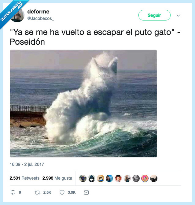 gato,escapar,poseidón
