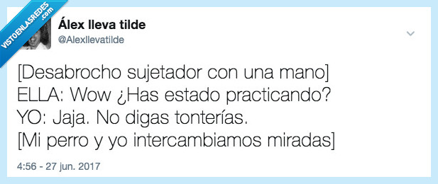 sujetador,desabrochar,perro