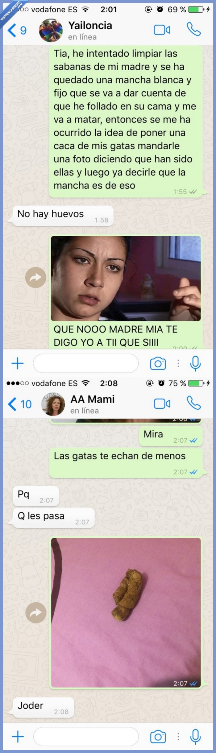 mancha,caca,gato,sábanas