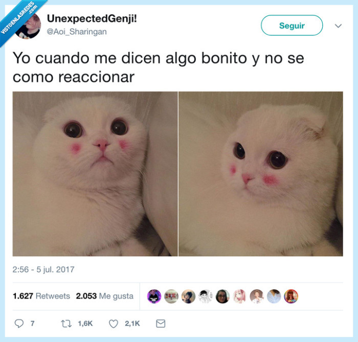 reaccionar,algo bonito,yo