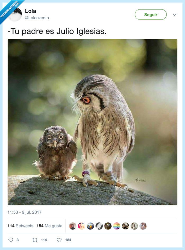 búho,padre,julio iglesias