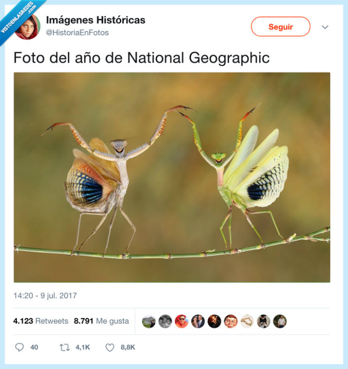 insectos,bichos,foto del año 2014