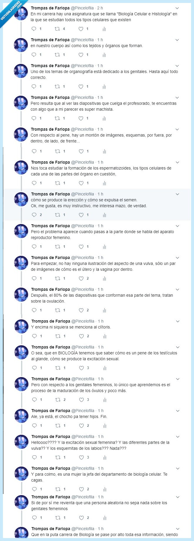 machismo,biología,estudios,vulva