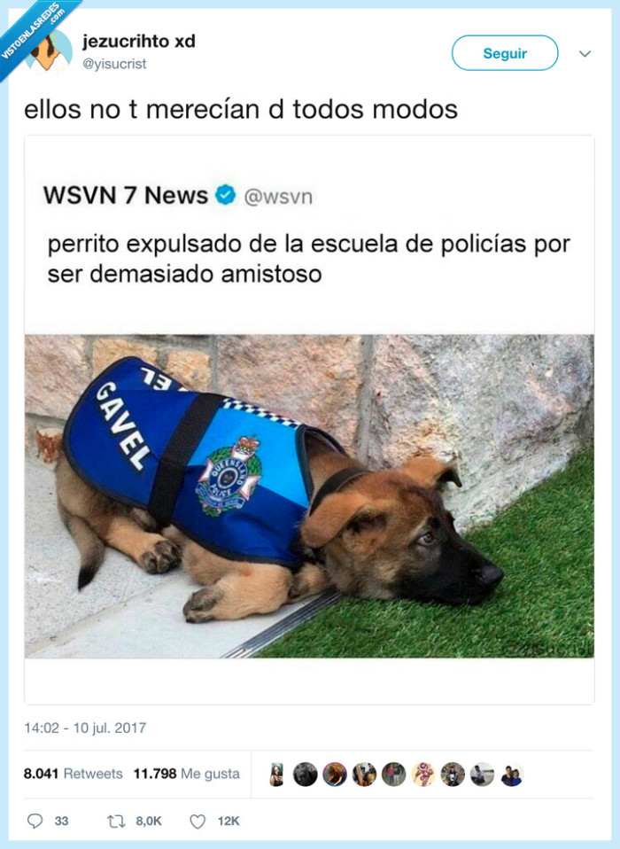 perro,policía
