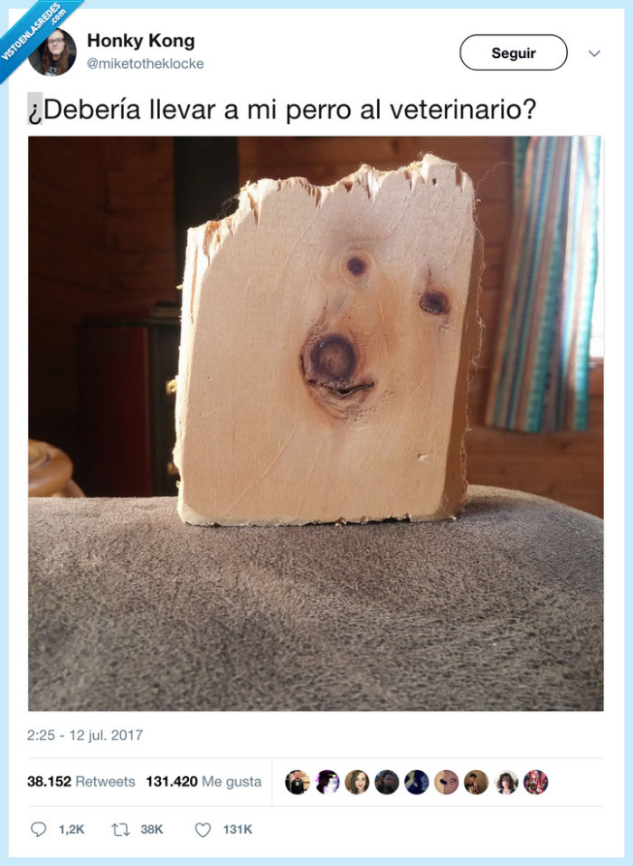 perro,veterinario,madera