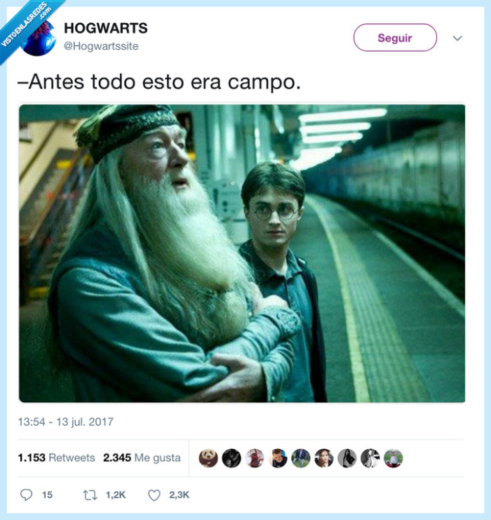 harry potter,metro,campo