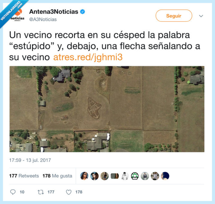 vecino,flecha,estúpido