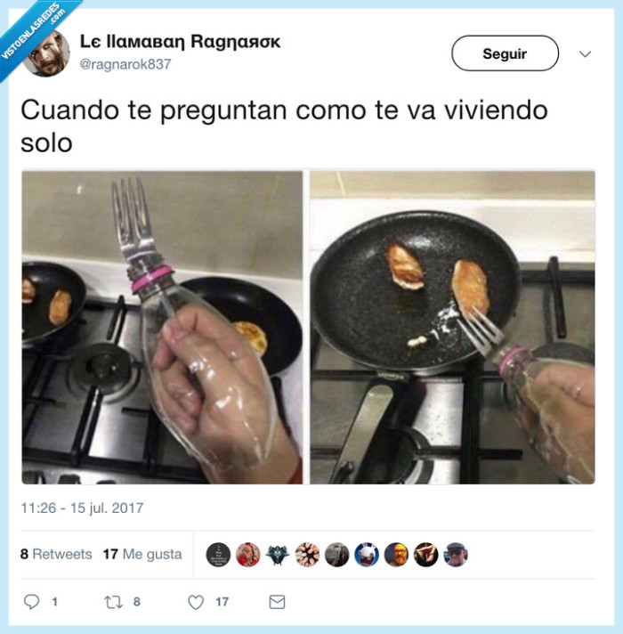 independizarse,vivir solo,desastre,cocinar