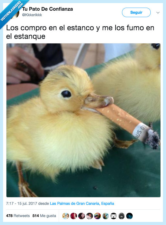 pato,estanque,fumar,estanco