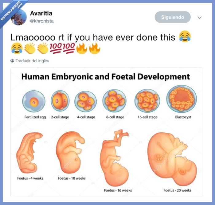 nacimiento,desarrollo embrionario,RT fácil,harto,todas las cuentas iguales,RT if