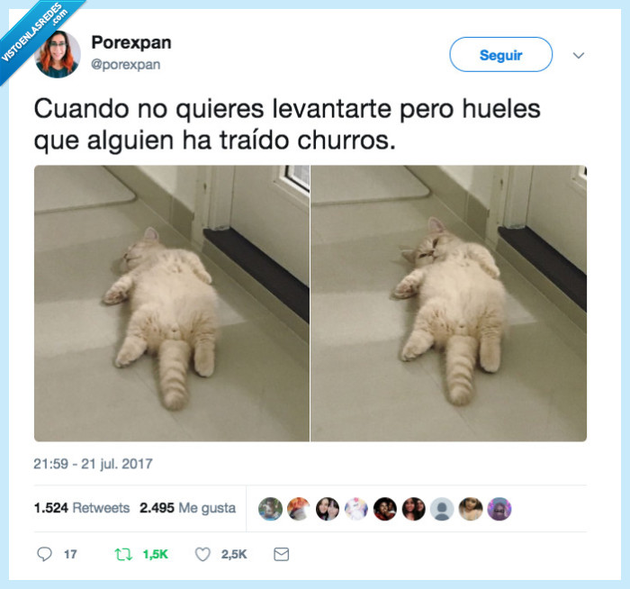 gato,churro,comida