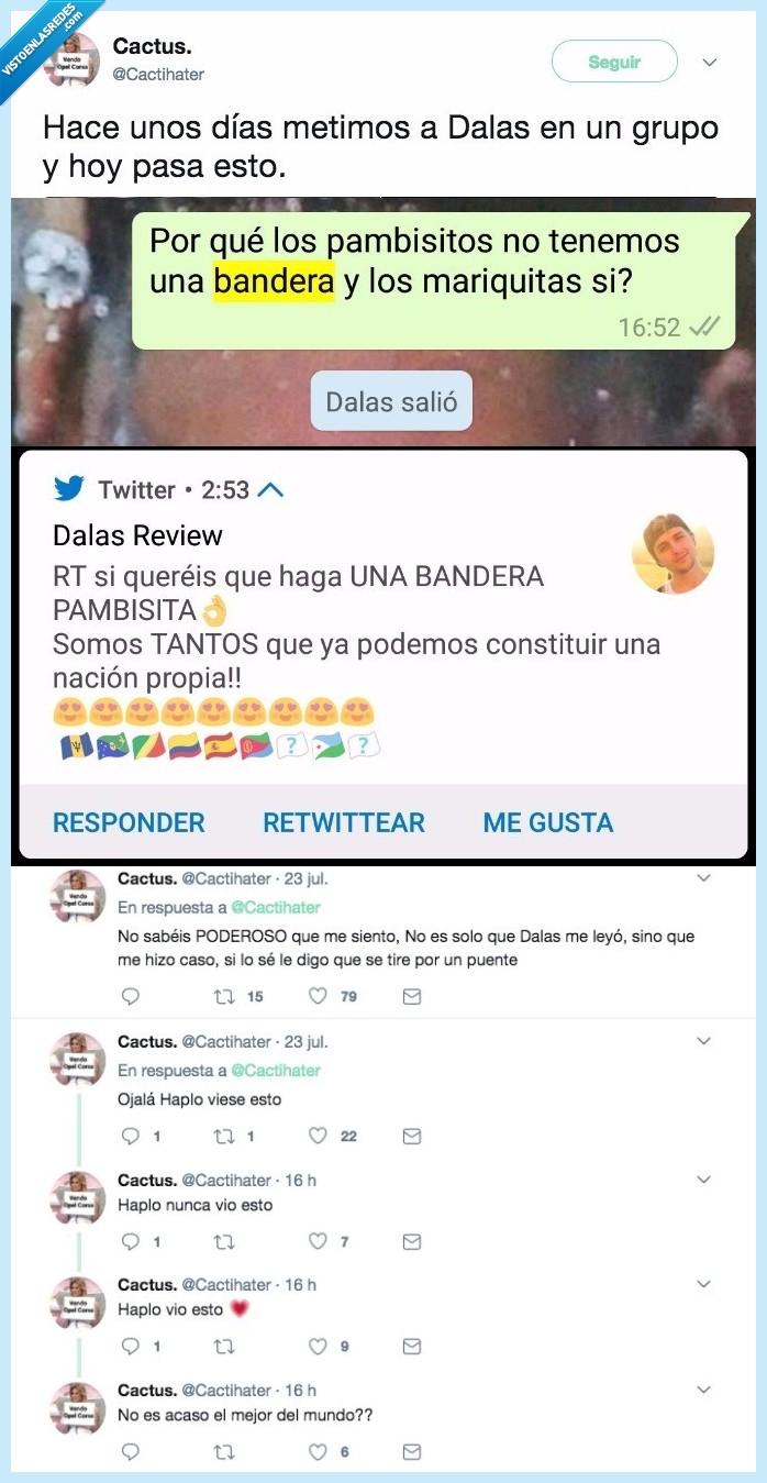 dalas,tonto,grupo,bandera