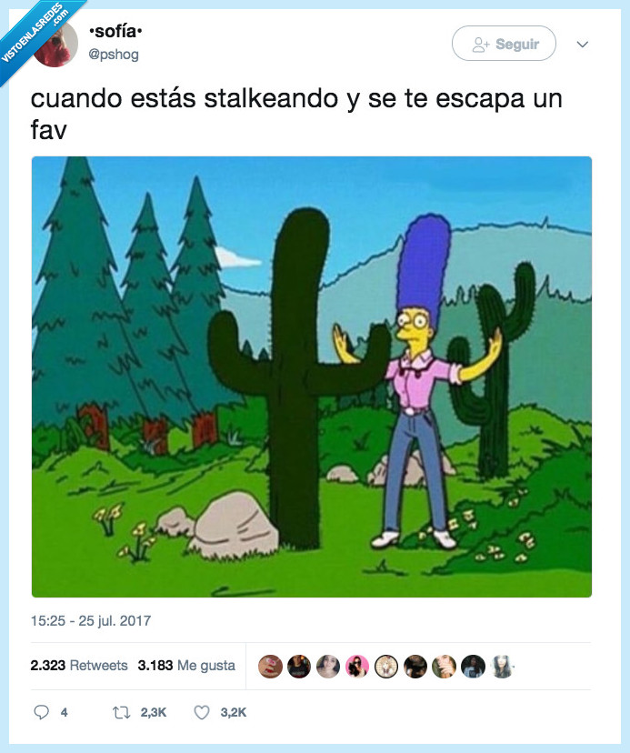 marge,disimular,stalkear