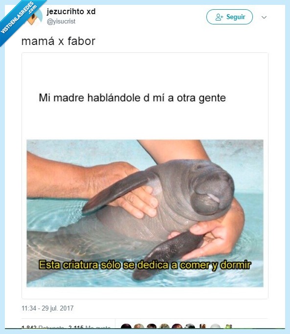 amor,madre,comer dormir