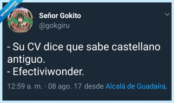 cv,castellano antiguo,efectiviwonder