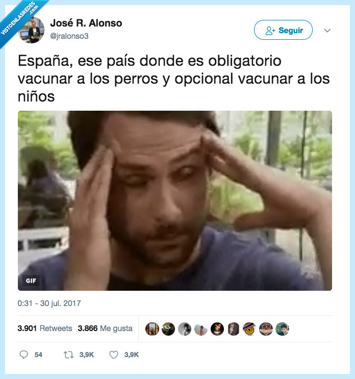vacunar,perros,personas