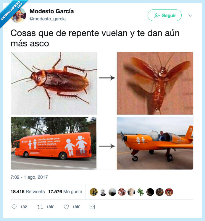 cucaracha,hazte oír,asco