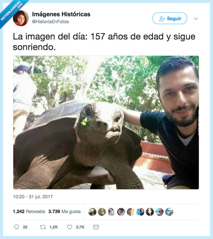 secreto,tortuga,edad