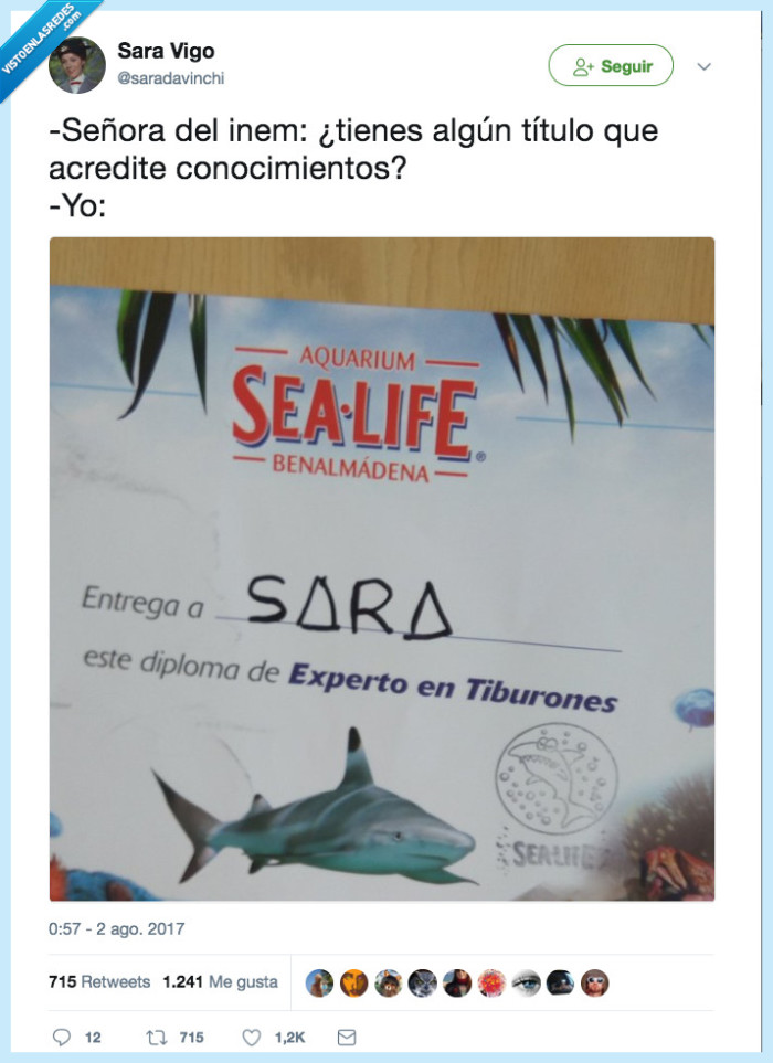 tiburon,entrevista,curro