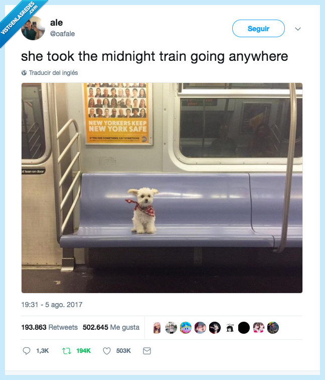 perrete,canción,journey