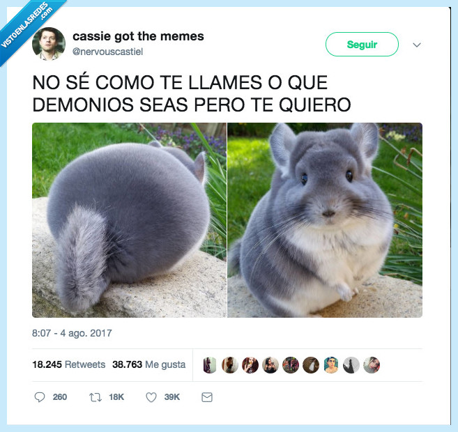 cosa cuqui,no sé lo que es,pero quiero abrazarlo