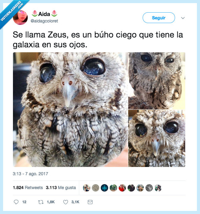 zeus,ojos,galaxia