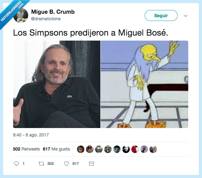 miguel bosé,parecidos,simpson