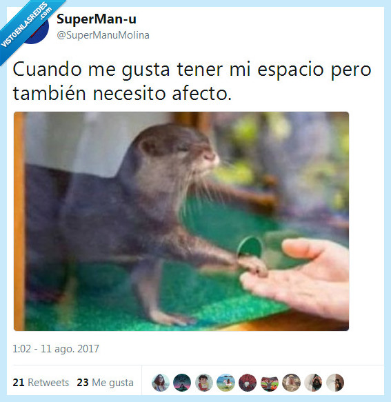 es`pacio,afecto,nutria