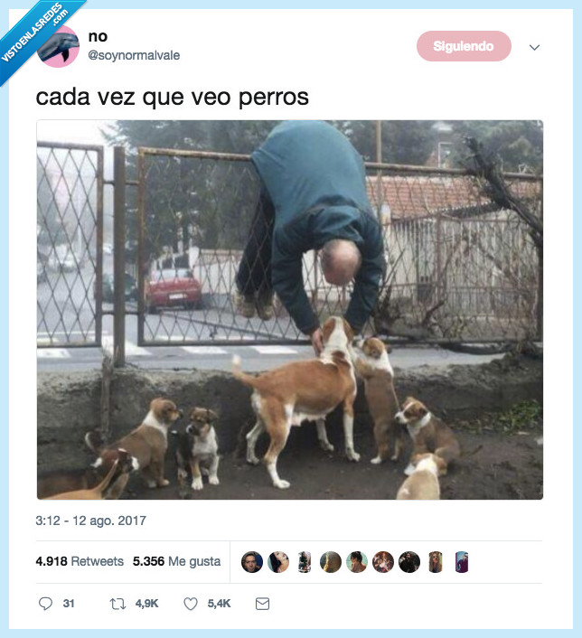 perros,querer,todos