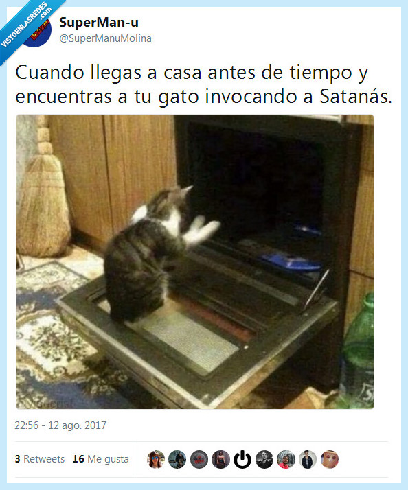 gato,satanás,invocar