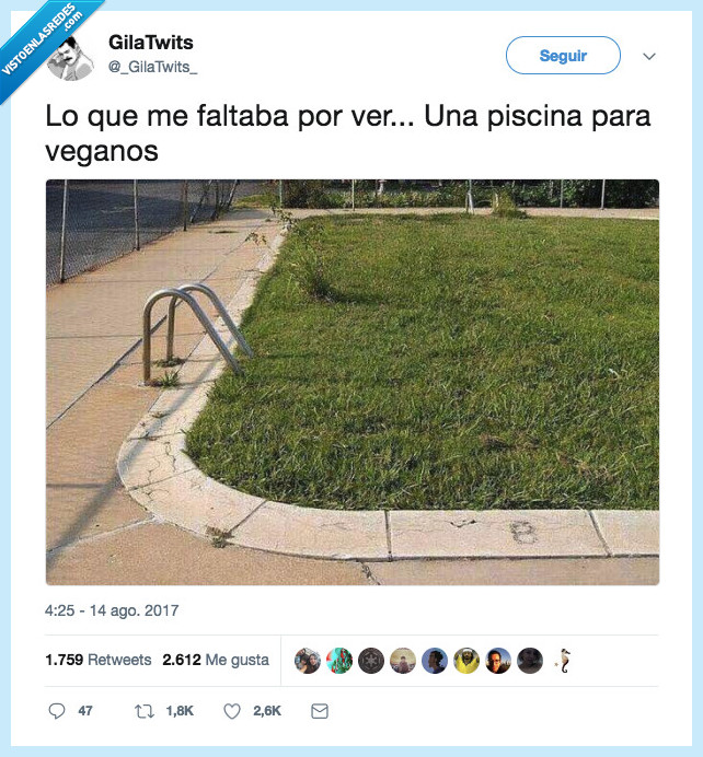piscina,veganos,perfecta