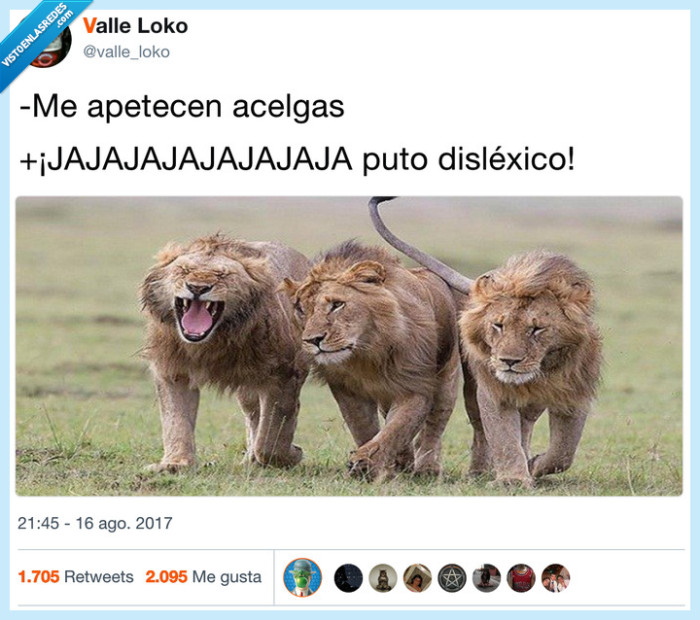 chiste,dislexia,leon