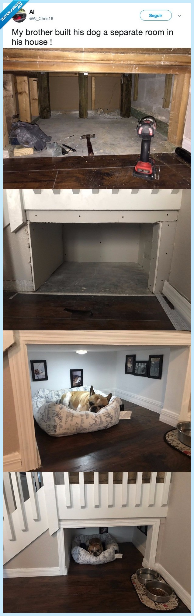 472411 - Mi hermano le construyó una habitación a su perrete