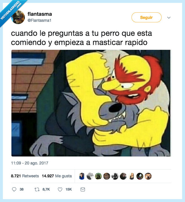 llevar,simpsons,perro,salvar vida