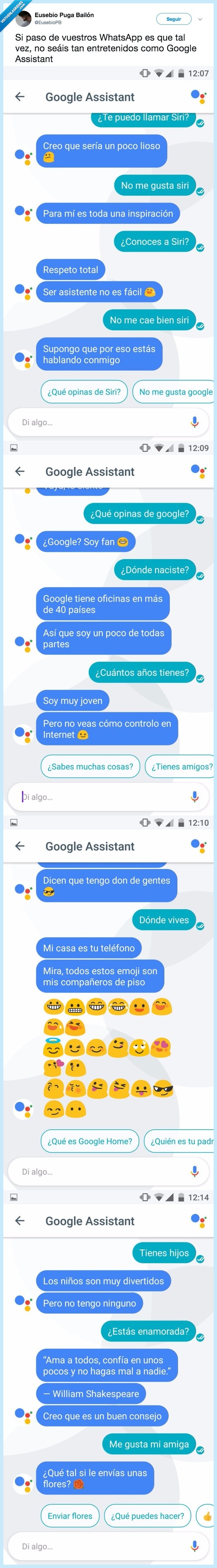 google assistant,graciosos