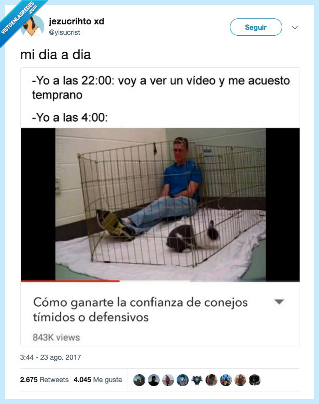 madrugar,vídeo,colegio,adv
