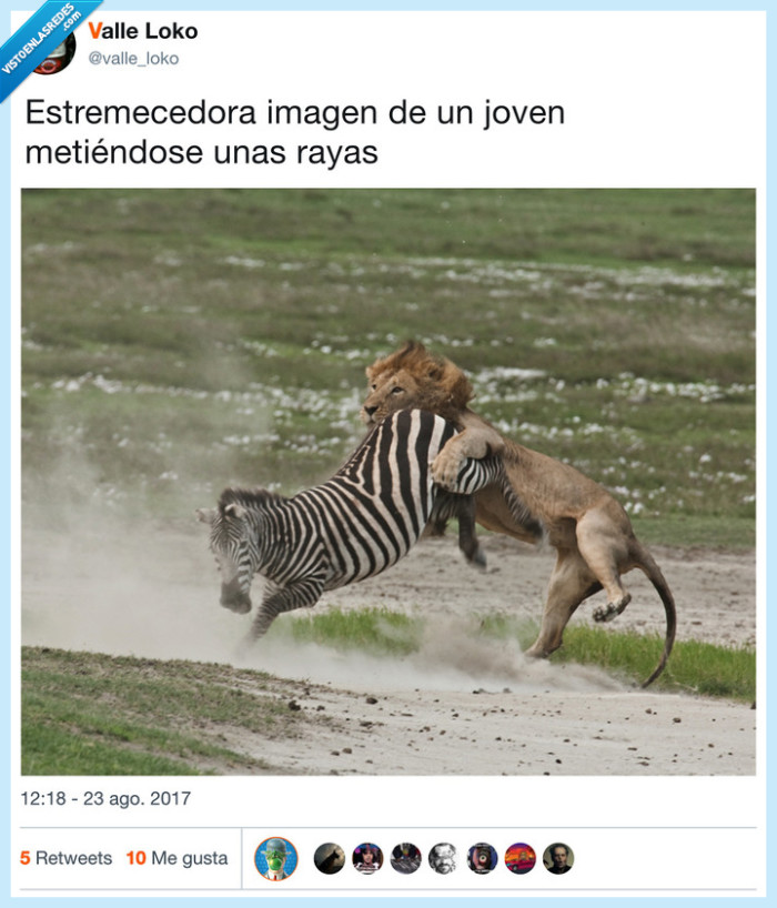 juventud,imagen,rayas