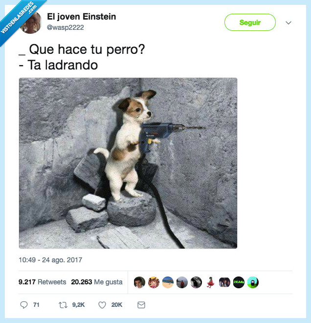 perro,taladrar,chiste,lo sentimos
