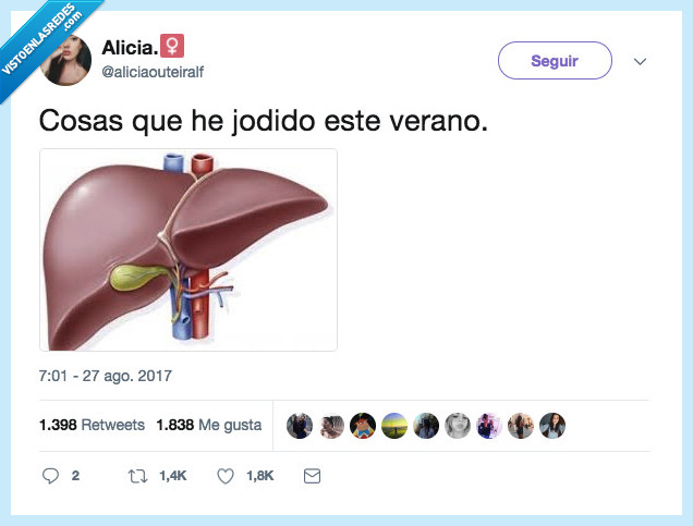 hígado,fastidiar,verano